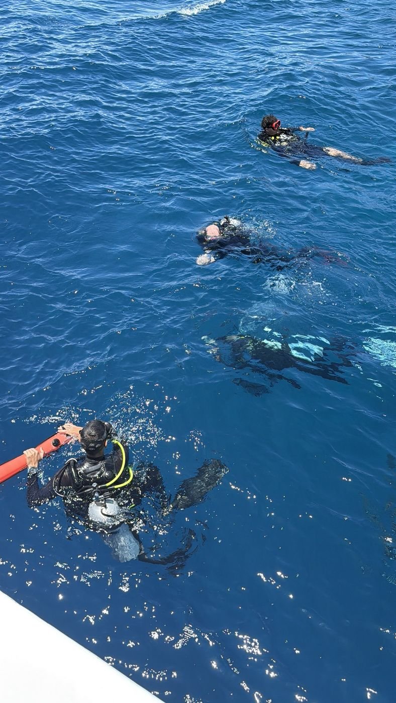 Divers at the surface with a marker buoy